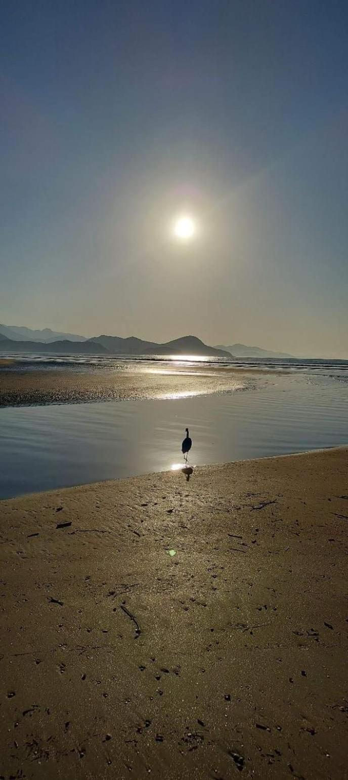 Descanso E Aconchego Massaguacu Caraguatatuba Exteriör bild